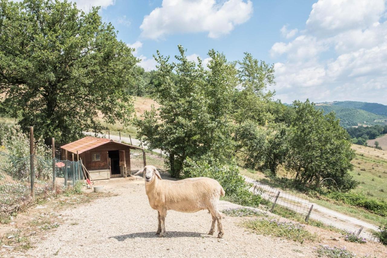 Agriturismo Goccia Di Luna Umbertide Exterior foto